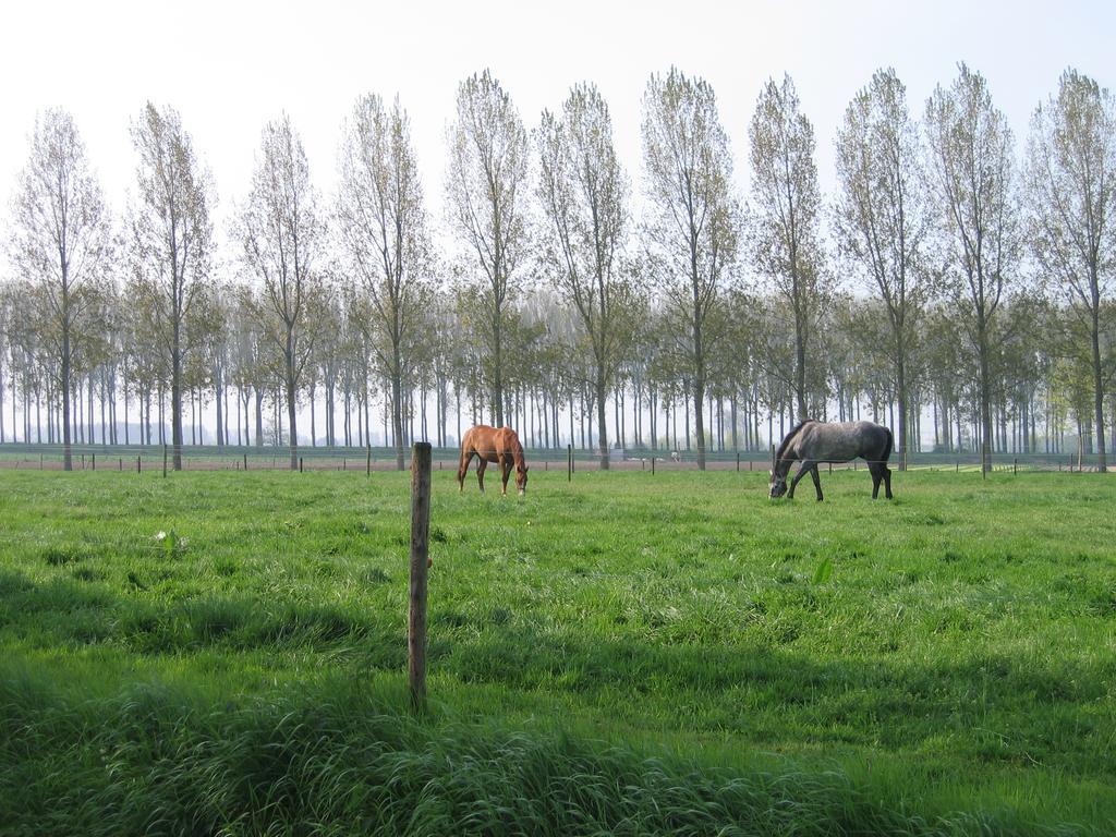 Jardin De Lieze Villa Maldegem Eksteriør bilde